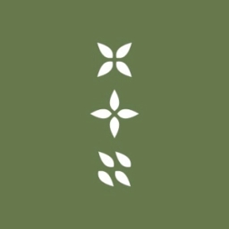 Branch Name in English